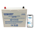 Lithium LIFePO4 100ah 12 Volt BattaMax 4000 Cycle Battery for Off-Grid Applications with Battery Management System (BMS) - RV, Cabin, Marine, Backup Storage Power