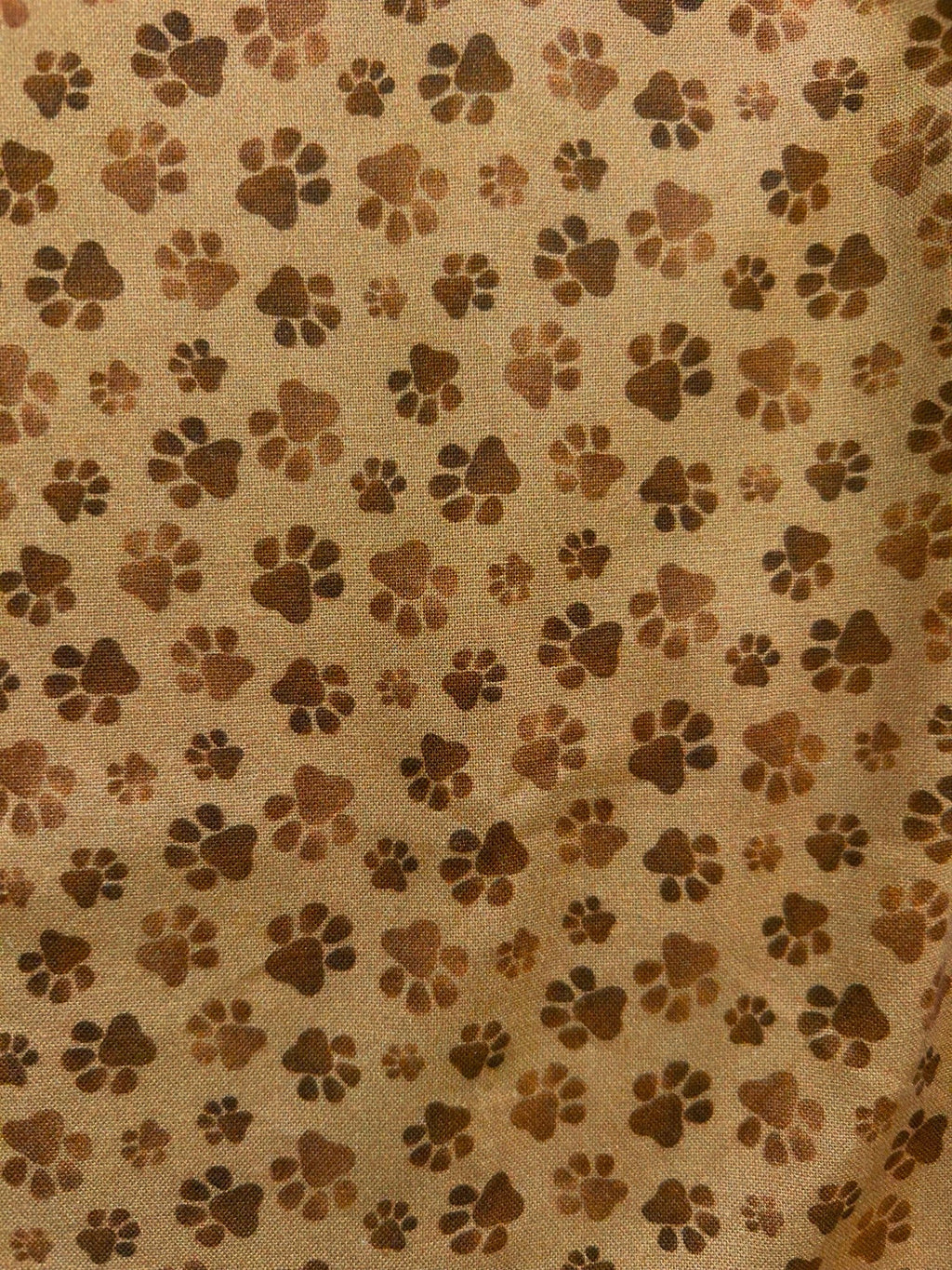 Paw Print Bow Top